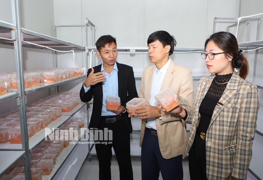 Nghiệm thu mô hình sản xuất theo chuỗi tại HTX dược liệu Việt