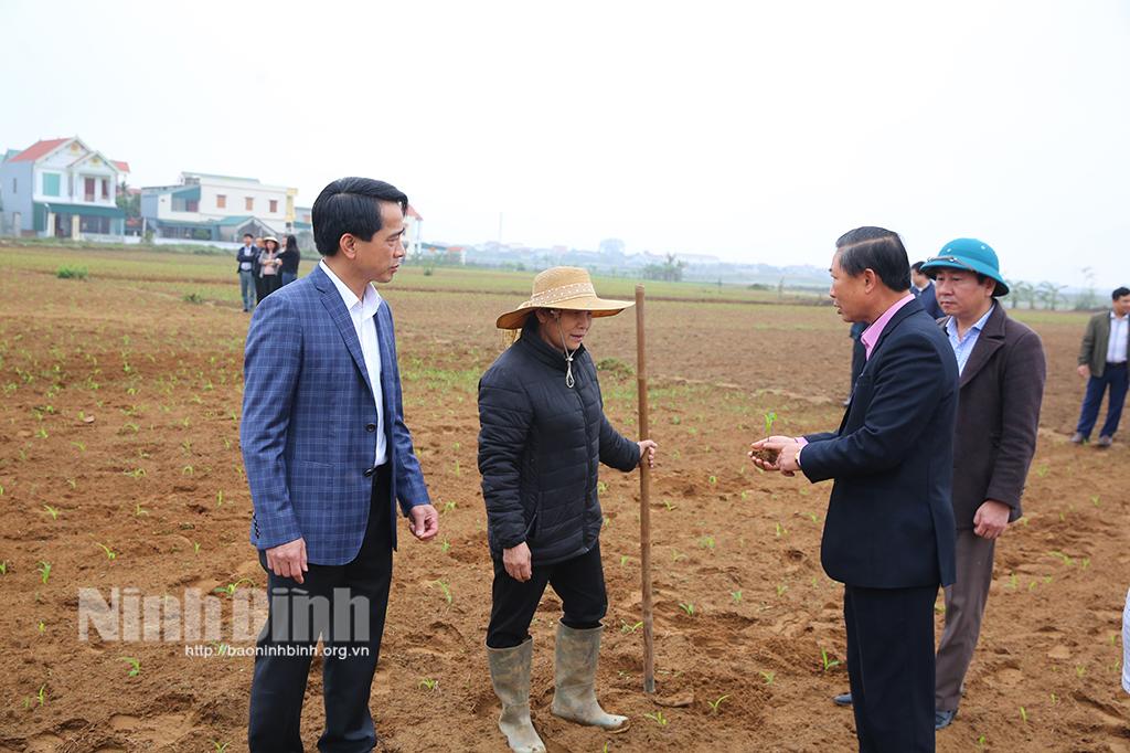 Lãnh đạo thành phố Ninh Bình kiểm tra, động viên sản xuất đầu năm