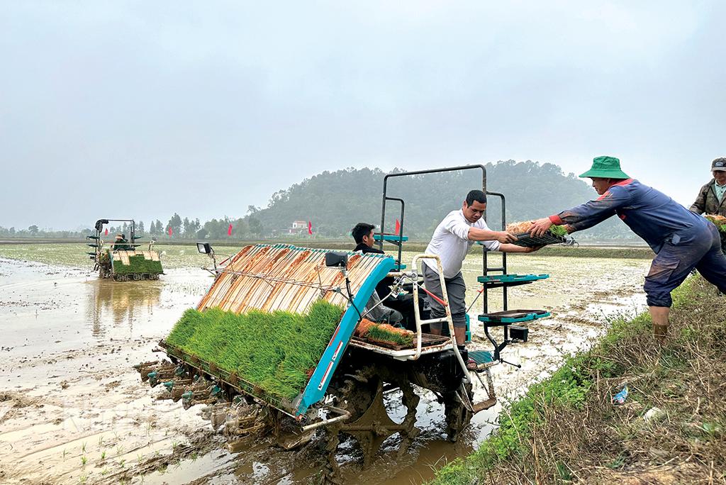 Thay đổi tư duy trong sản xuất lúa gạo: (Kỳ 2) - Những đổi thay mang tính bước ngoặt