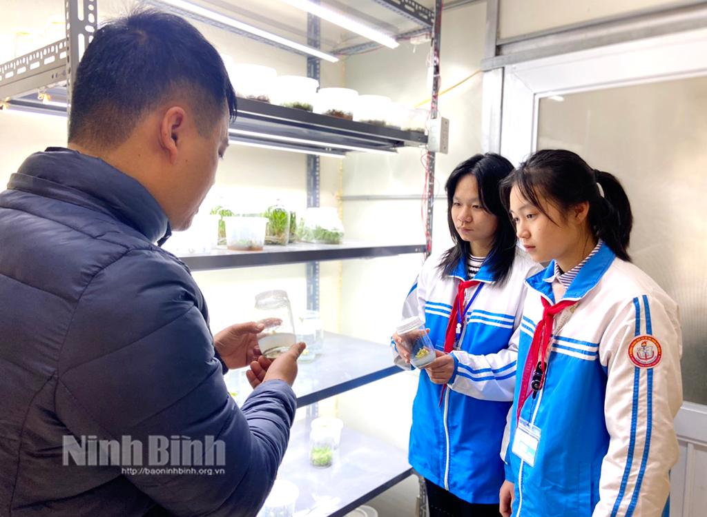 Nhóm học sinh thành công với Dự án tạo ra nguồn vật liệu nhân giống Sâm Ngọc Linh