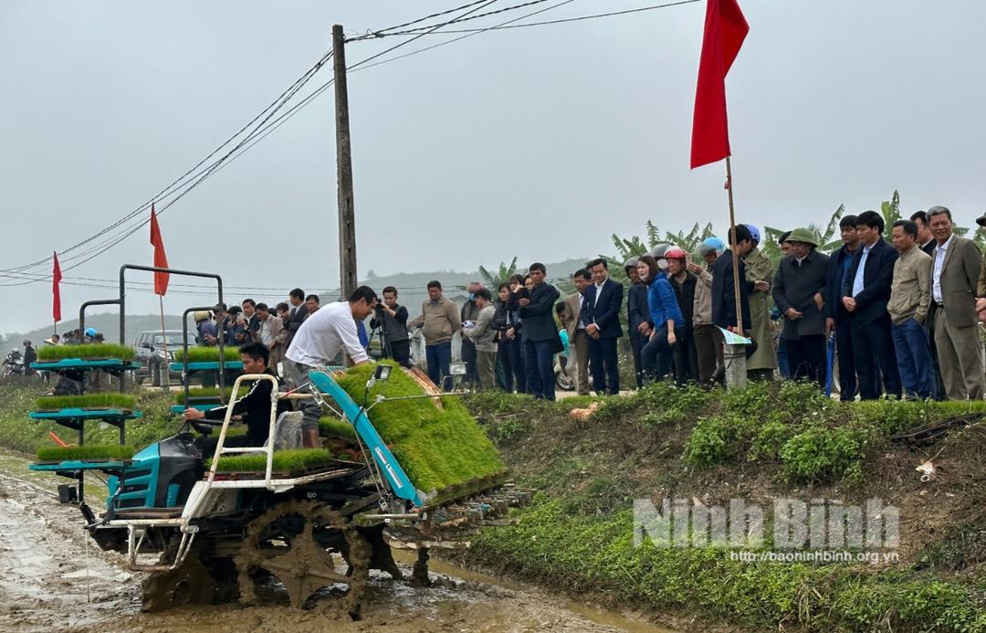 Trình diễn mạ khay cấy máy tại xã Yên Thành