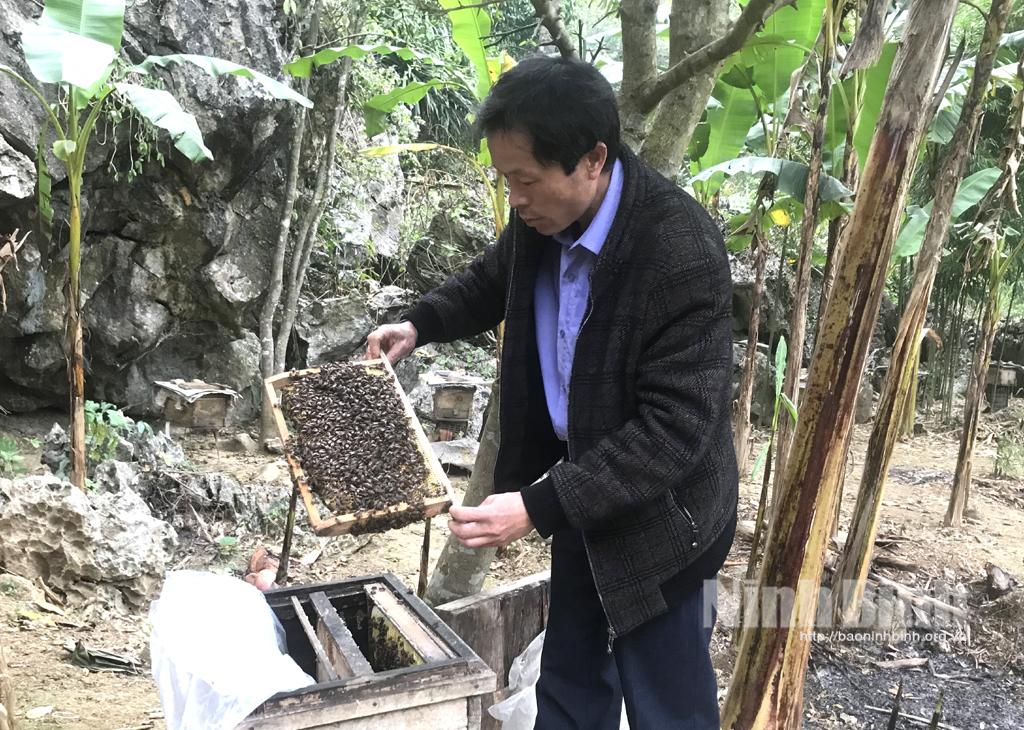 Cúc Phương phát triển con nuôi đặc sản có giá trị kinh tế cao