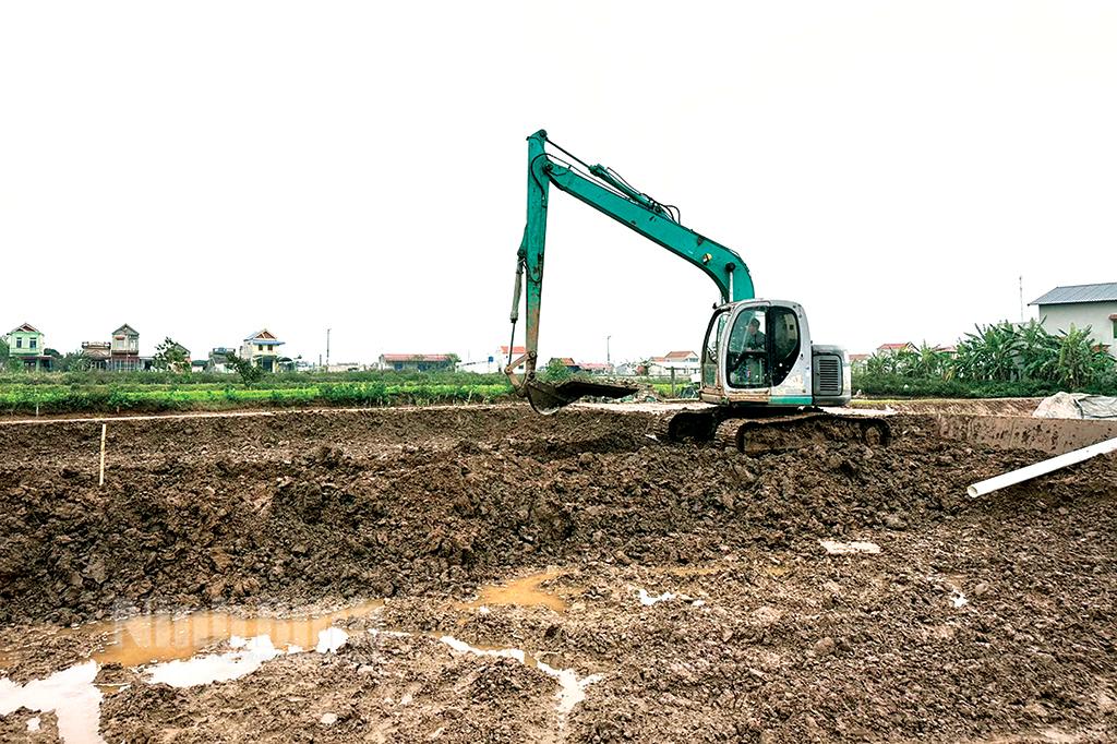 Nông dân Kim Sơn cải tạo ao, đầm sẵn sàng cho vụ nuôi tôm mới