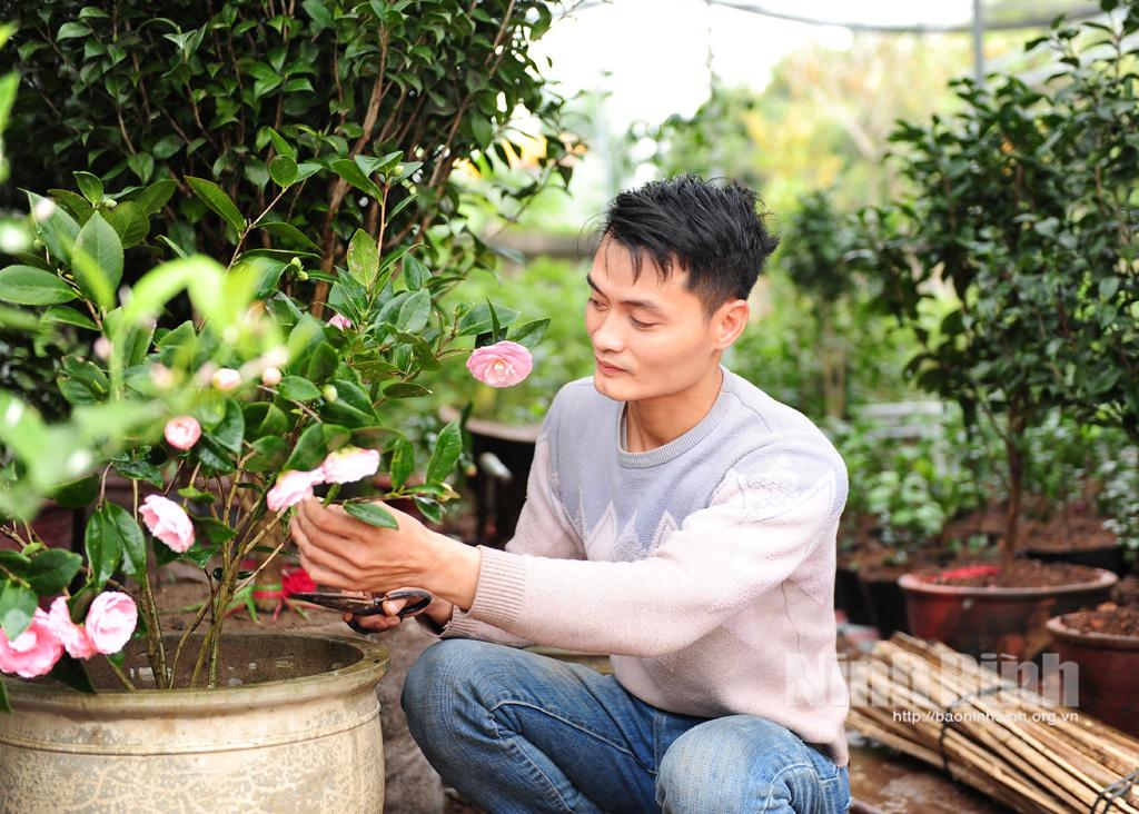 Thanh niên 9X khởi nghiệp bằng nghề trồng cây, hoa cảnh