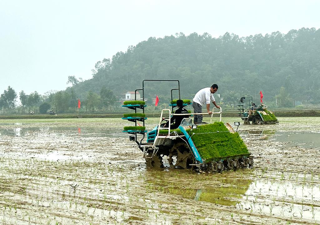 Quyết giành vụ đông xuân thắng lợi toàn diện