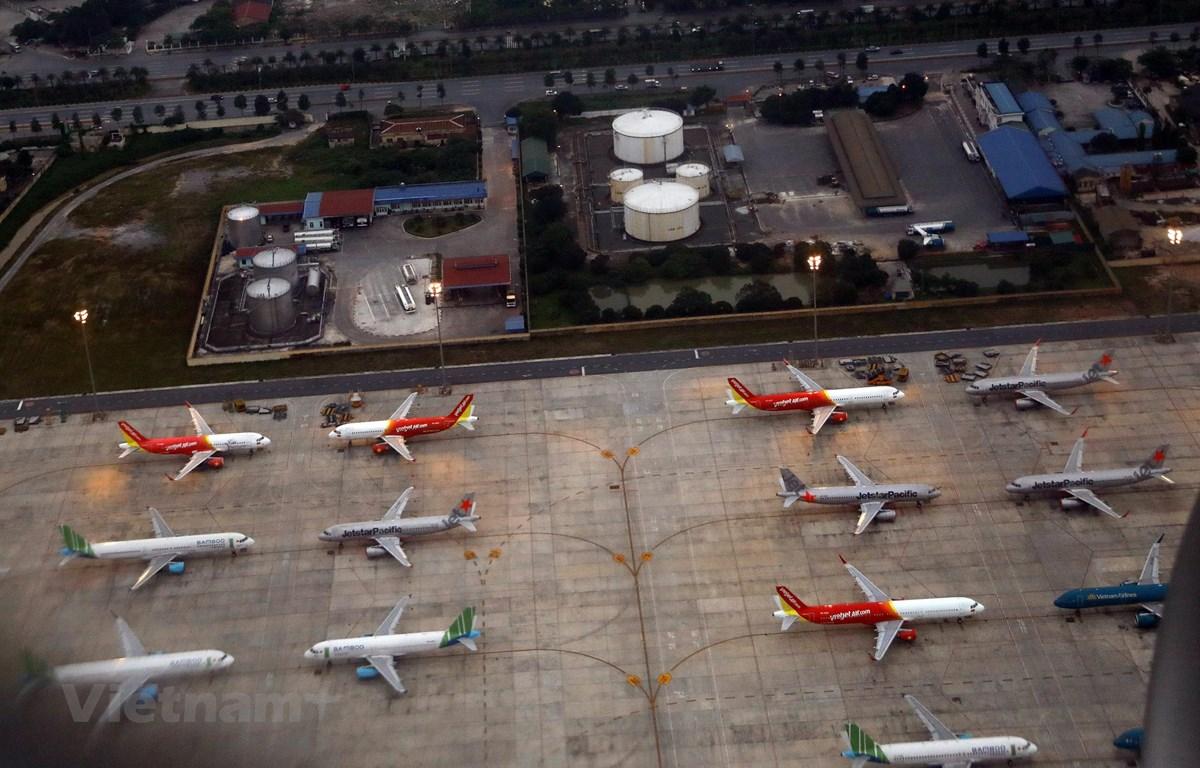 Nếu giá vé máy bay cao hơn quy định, gọi ngay đường dây nóng!