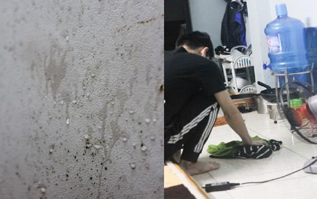 Chuyên gia: Miền Bắc sẽ đón đợt rét từ đêm 13/2 sau đợt nồm, ẩm