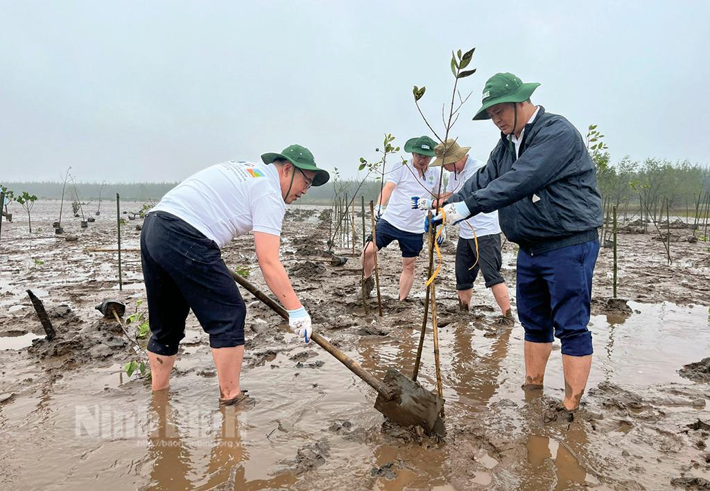 Ninh Binh works to attract foreign investment to agriculture
