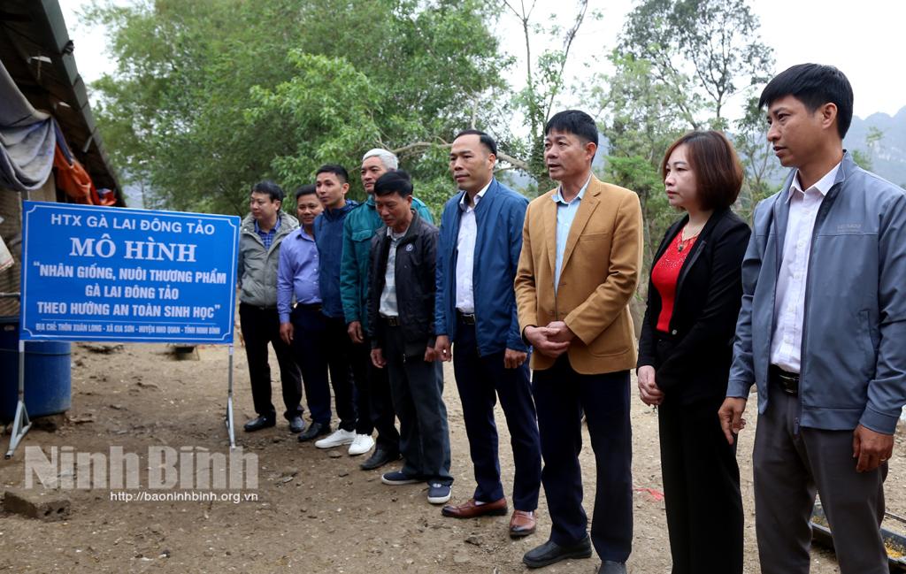 Hội nghị đầu bờ đề tài "Xây dựng mô hình nhân giống, nuôi thương phẩm gà lai Đông Tảo theo hướng an toàn sinh học"