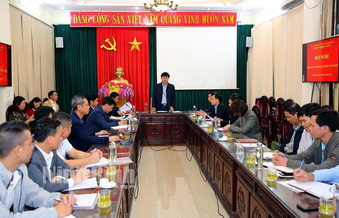 Hội nghị liên kết trong sản xuất và tiêu thụ lúa gạo năm 2023