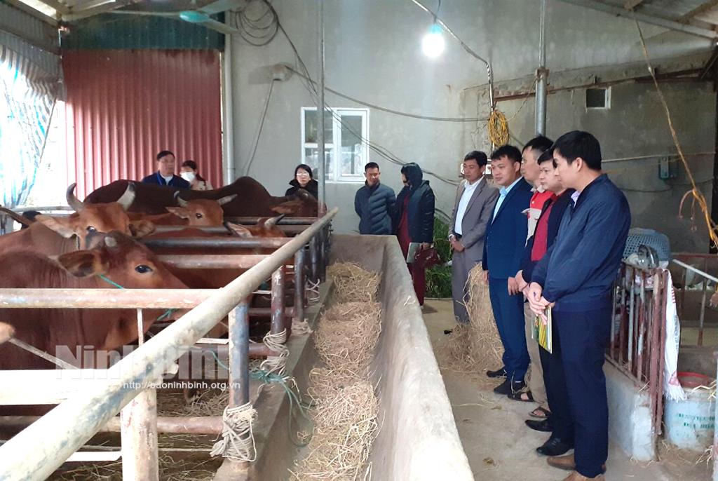 Yên Đồng giúp nông dân yên tâm gắn bó với sản xuất nông nghiệp