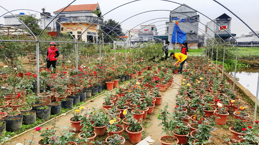 Bổ sung phương thức tặng, cho quyền sử dụng đất trong tích tụ đất nông nghiệp