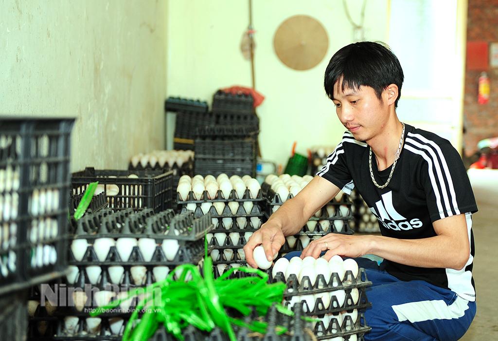 Xuất ngũ trở về quê, chàng trai 9X nuôi chí làm giàu