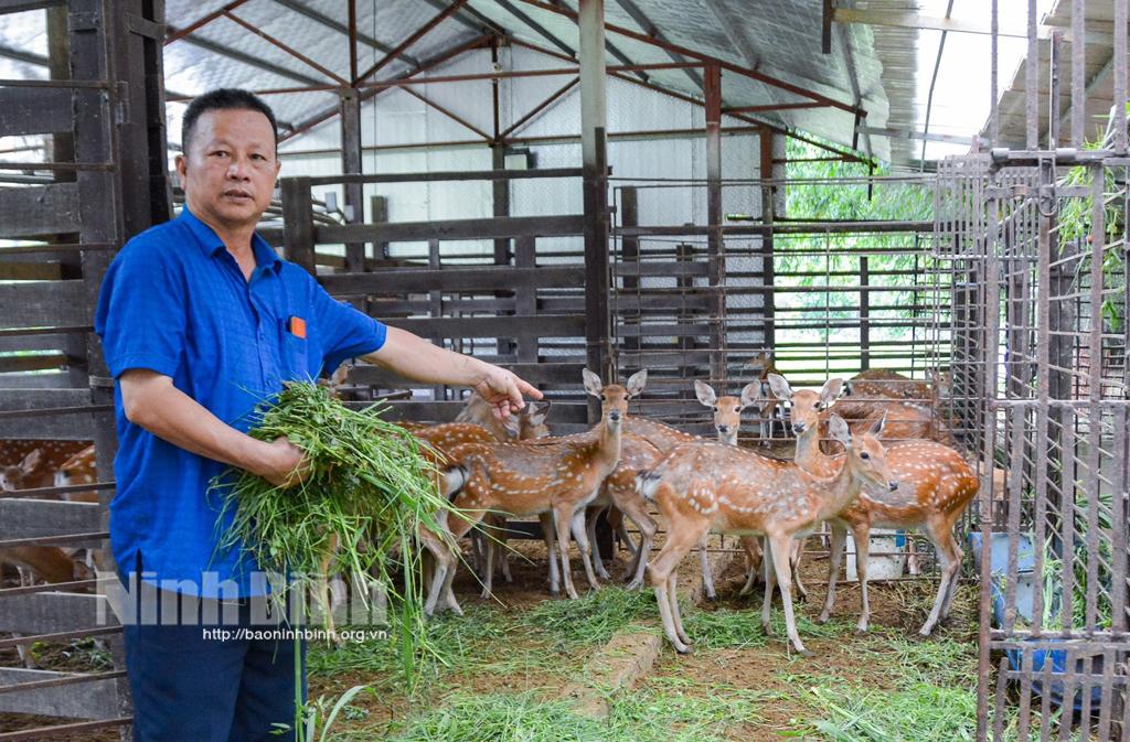 Cựu chiến binh Tam Điệp gương mẫu làm theo lời Bác