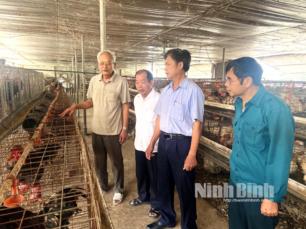 Thu tiền tỷ mỗi năm từ nuôi gà Đông Tảo