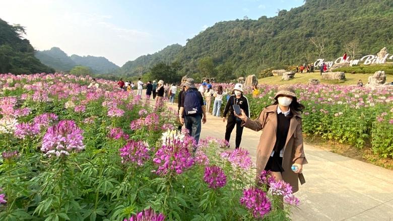 Ninh Binh strives to promote tourism in international arena
