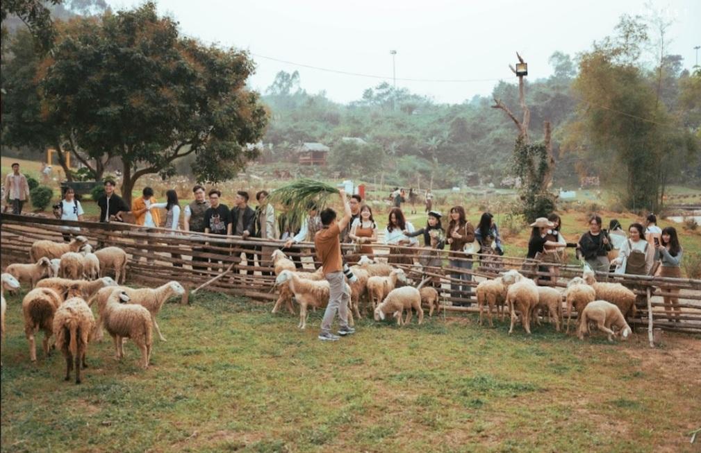 Nhiều dịch vụ vui chơi trong ngày phù hợp với gia đình có trẻ nhỏ