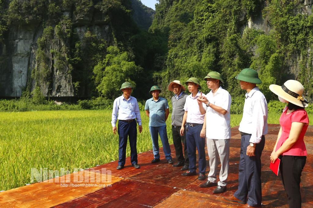 Preparation for Ninh Binh Tourism Week 2023 underway