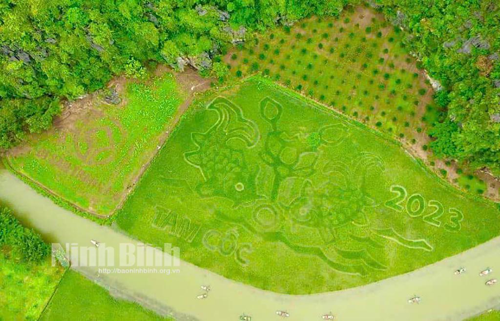 Trailer Tuần Du lịch Ninh Bình 2023 - Sắc vàng Tam Cốc - Tràng An