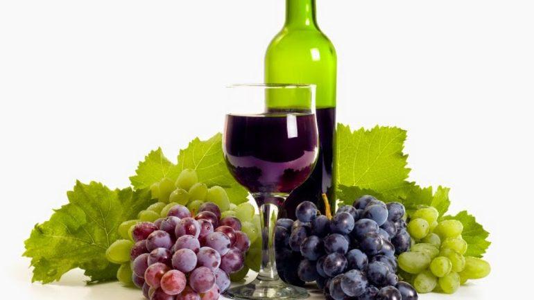 Các hoạt động và sự kiện tại Lễ hội Nho-Vang Ninh Thuận 2023