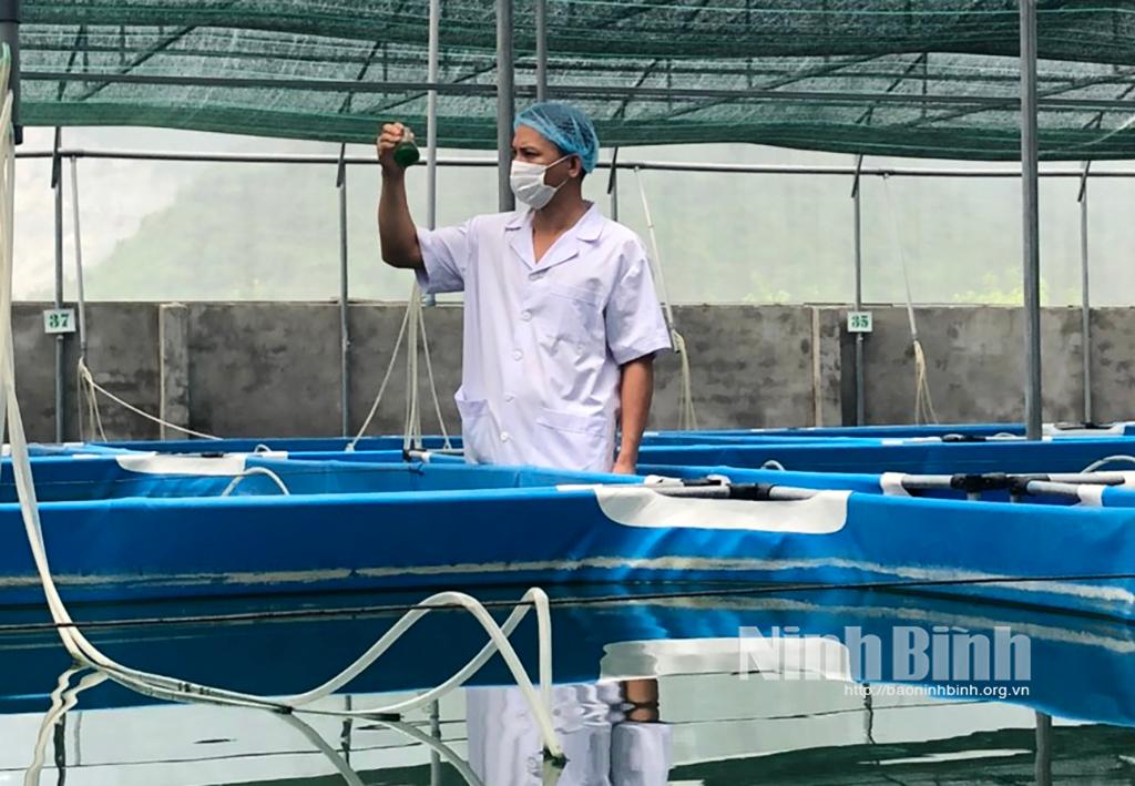 Đông Sơn phát triển sản phẩm OCOP góp phần xây dựng nông thôn mới