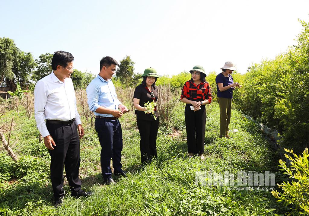 Khảo sát một số mô hình HTX sản xuất theo chuỗi giá trị