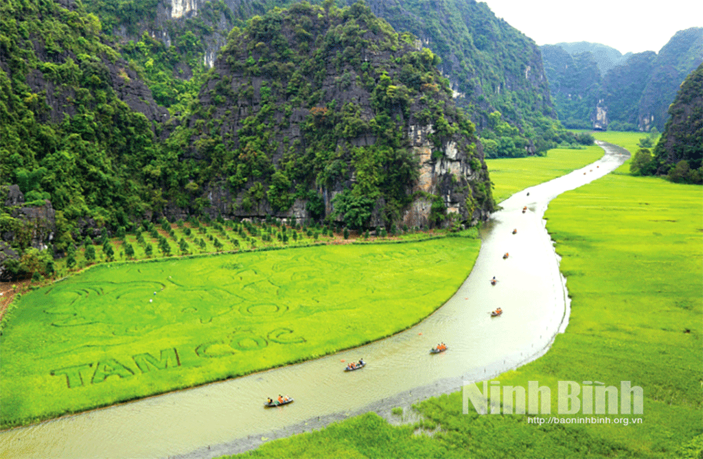 Xây dựng "Sắc vàng Tam Cốc - Tràng An" trở thành sản phẩm du lịch đặc trưng