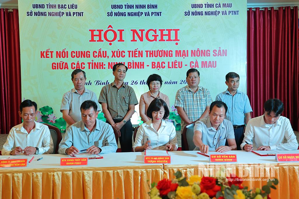 Xúc tiến thương mại, tiêu thụ nông sản giữa Ninh Bình - Cà Mau - Bạc Liêu