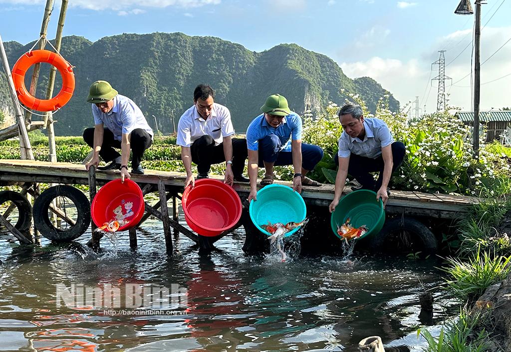 Thả cá hỗ trợ mô hình "Nuôi cá chép Koi kết hợp trồng hoa súng phục vụ du lịch"