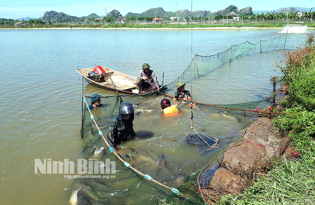 Gia Minh tập trung phát triển nuôi trồng thủy sản