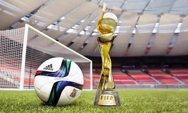 Điểm đặc biệt của 10 sân vận động diễn ra FIFA Women's World Cup 2023