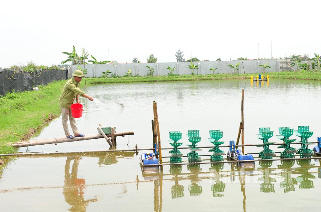 Hội Nông dân Kim Sơn: Đồng hành cùng hội viên trong phát triển kinh tế