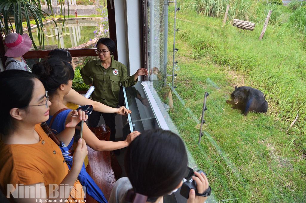 Ninh Binh promotes wildlife-based tourism