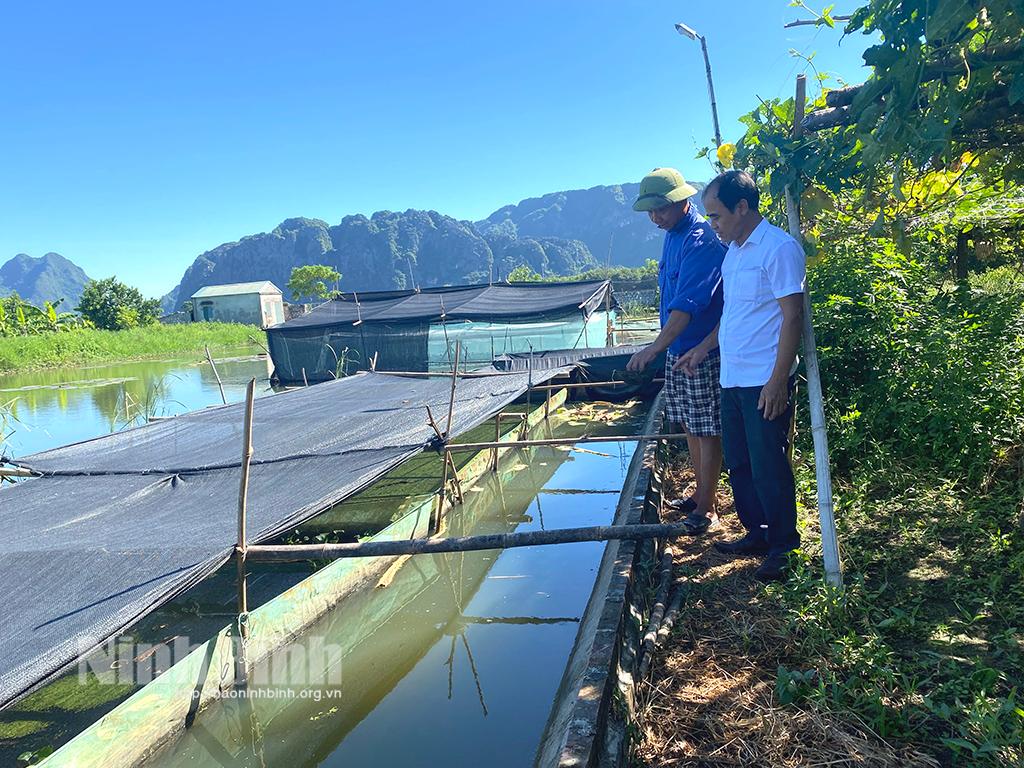 Lão nông làm giàu nhờ nuôi con đặc sản