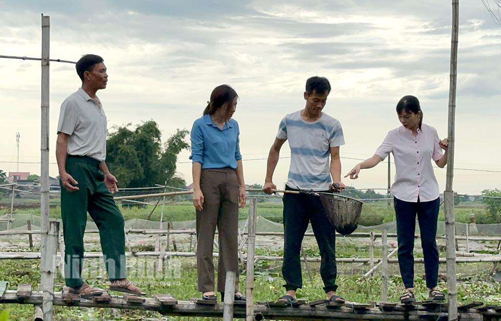 Xây dựng sản phẩm OCOP từ con ốc nhồi