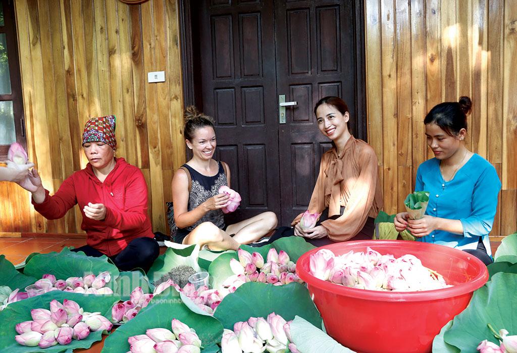 Xây dựng bản sắc riêng cho nông nghiệp Ninh Bình