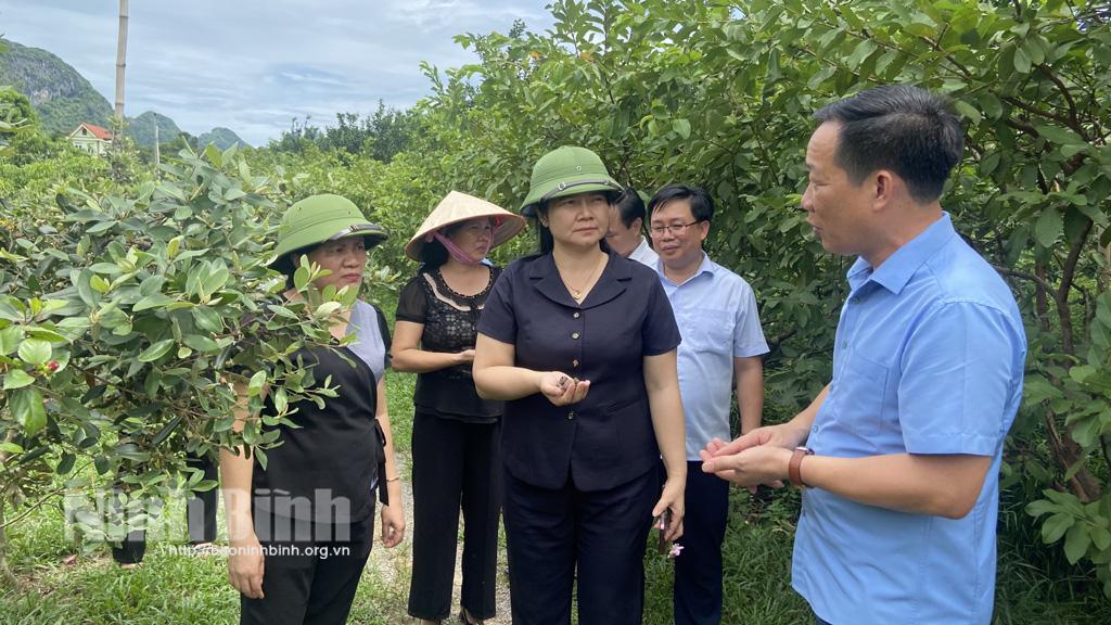 Xích Thổ: Phát triển nhiều mô hình kinh tế hiệu quả