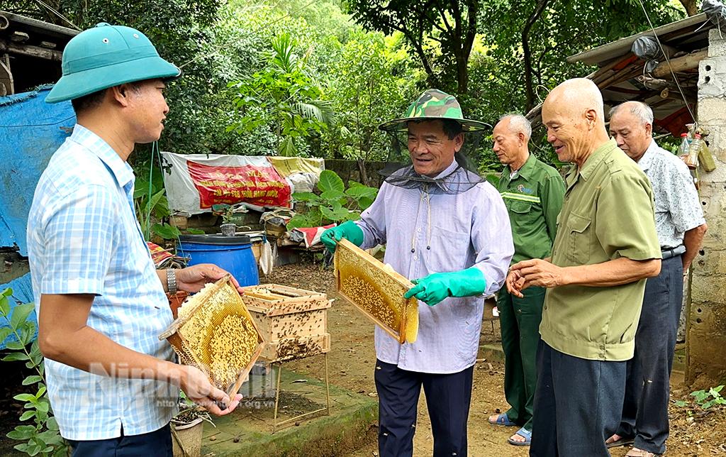 Nâng tầm thương hiệu "Mật ong vùng đồi"