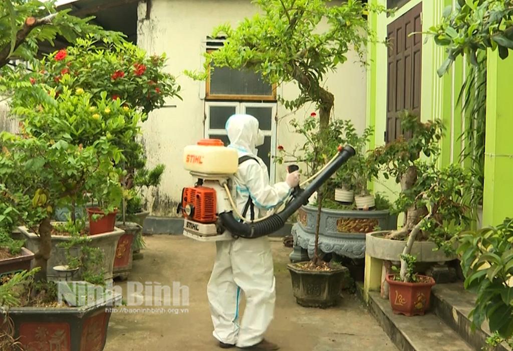 Ninh Bình tăng cường công tác phòng, chống sốt xuất huyết