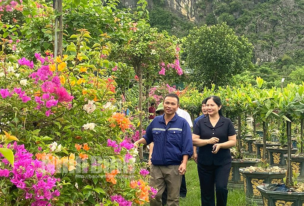 Gia Lâm: Phát triển nhiều mô hình trồng hoa, cây cảnh