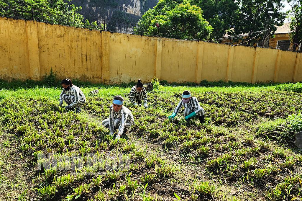 Giảm thời hạn chấp hành án phạt tù: Chính sách khoan hồng, nhân đạo đối với người lầm lỗi