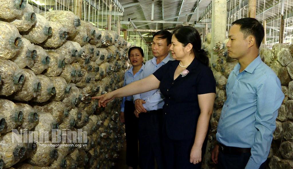 Tạo động lực khích lệ nông dân thi đua sản xuất, kinh doanh giỏi