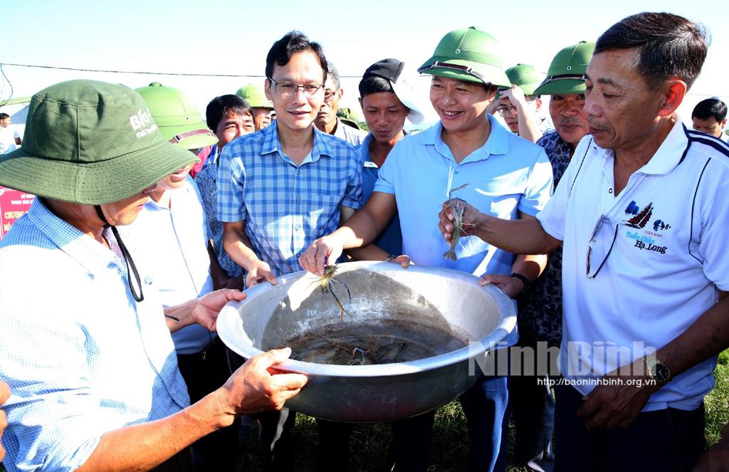 Hội thảo Phát triển nuôi đặc sản tôm càng xanh toàn đực tại Ninh Bình