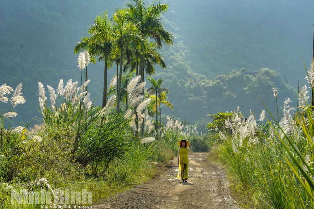 Liveshow ca nhạc Miền lau trắng - "Bản tình ca miền di sản" sẽ diễn ra ngày 6/10 tại phố cổ Hoa Lư