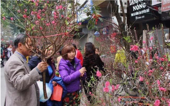 Tết Giáp Thìn 2024: Liệu miền Bắc có rét như những Tết năm Thìn xưa?