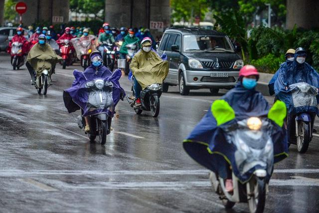 Chủ động ứng phó với rét đậm, rét hại và gió mạnh trên biển