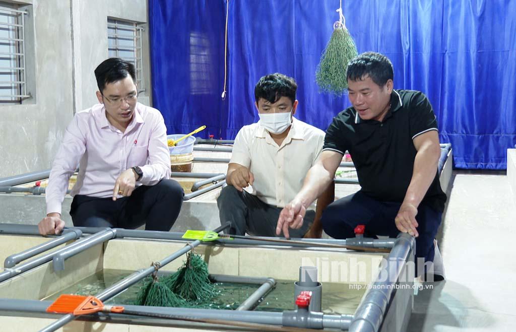 Kim Sơn: Nguồn vốn giải quyết việc làm tạo "đòn bẩy" cho người dân phát triển kinh tế