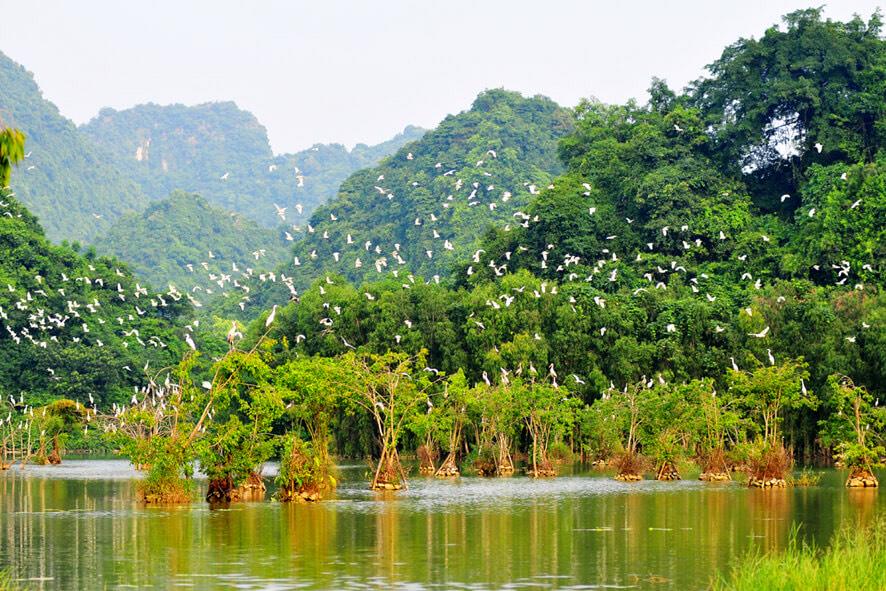 Ninh Binh's two destinations honoured in Vietnam's Top 7 Impressions in 2023