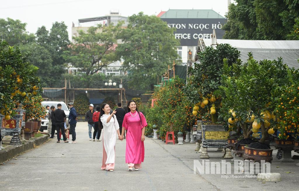 Nhộn nhịp Chợ hoa Xuân Giáp Thìn 2024