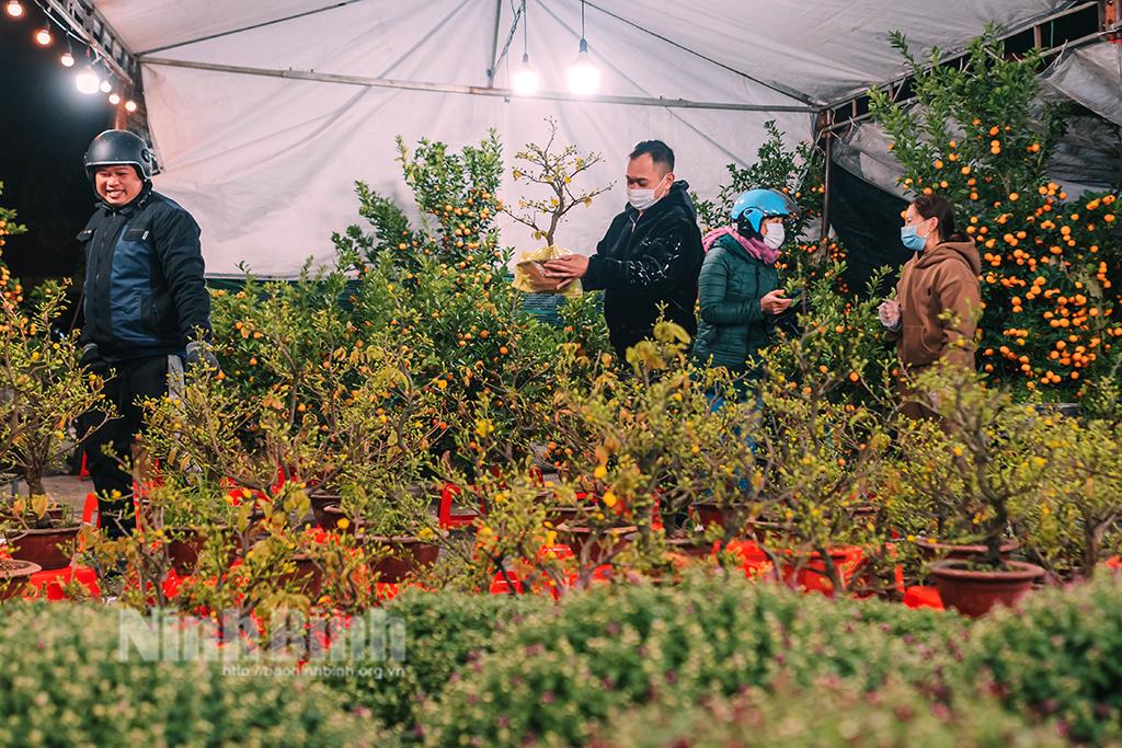 Rét đậm, rét hại kéo dài, người bán hoa Tết bớt lo lắng